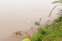 Nghi bị mắng vì cắt tóc, nữ sinh lớp 9 nhảy cầu tự tử