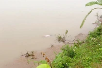 Nghi bị mắng vì cắt tóc, nữ sinh lớp 9 nhảy cầu tự tử