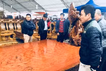 Cận cảnh sập gỗ nu cẩm lai giá 3 tỉ đồng ở Hà Nội