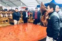 Cận cảnh sập gỗ nu cẩm lai giá 3 tỉ đồng ở Hà Nội