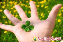 Con đường duy nhất để thay đổi vận mệnh