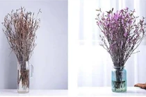 Sự thật “độc tố” trong hoa đỗ quyên ngủ đông khiến chị em phát hoảng