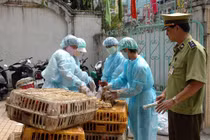 Kinh hoàng cúm A/H7N9 cướp mạng sống của 621 người Trung Quốc