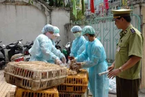 Kinh hoàng cúm A/H7N9 cướp mạng sống của 621 người Trung Quốc