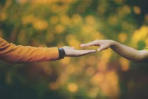 Hạnh phúc buổi xế chiều từ hai nửa không trọn vẹn