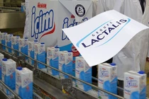 Sữa Lactalis nghi nhiễm khuẩn vẫn được rao bán trên mạng