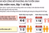 Infographic: Phương án tuyển sinh vào lớp 1, lớp 6