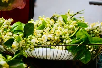 Hoa bưởi đầu mùa giá “chát” 200.000 đồng/kg hút khách Hà Nội