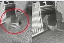 Kinh hoàng bố mẹ xách tay chân, kéo lê con gái ở Bà Rịa-Vũng Tàu