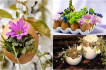 Trang trí bàn ăn với bình hoa từ quả trứng siêu độc đáo 