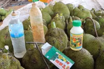 Giá mít tăng đột biến, xuất hiện clip nhúng chín mít bằng thuốc độc