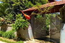 Mê mẩn nhà cấp 4 giá bèo 200 triệu vẫn đẹp lung linh