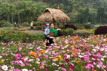 Mộng du giữa vườn hoa vạn người mê “check in” của cô chủ Tuyết Trinh