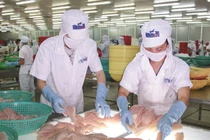 Thủy sản Hùng Vương: Từ "Vua" cá tra đến ngập trong thua lỗ