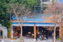 Kiến trúc cây đâm xuyên mái gây "choáng" của ngôi nhà trên đê Hà Nội