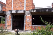 Chi tiết siêu dự án nghìn tỷ 13 năm vẫn hoang tàn ở Ninh Thuận