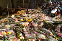 Chiều 30 tết các cửa hàng cây cảnh chặt cây, quyết không bán rẻ