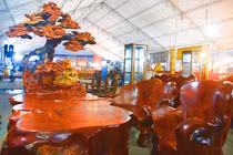 Ngắm bộ bàn ghế “mọc cây” siêu chất giá gần 1 tỷ đồng