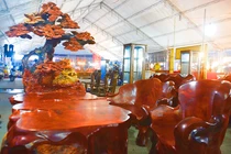 Ngắm bộ bàn ghế “mọc cây” siêu chất giá gần 1 tỷ đồng