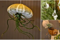 Đua nhau mua cây treo vỏ ốc siêu độc trang trí nhà ngày Tết