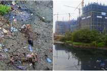 Dự án Roman Plaza bên sông Nhuệ ô nhiễm, xú uế... cư dân sẽ “sống nhục“!