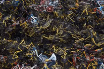 Dân Trung Quốc sợ hãi tới mất ngủ vì xe đạp “kêu cứu thảm thiết”