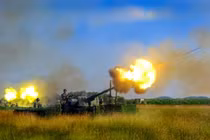 Sức mạnh hỏa lực của Trung đoàn Bộ binh 31, Sư đoàn 309