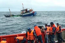 Bão số 9: Điều động tàu Hải quân tìm kiếm tàu cá gặp nạn