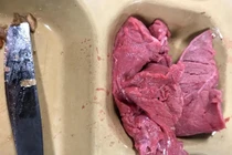 Cựu binh hé lộ bữa ăn “kinh tởm” của lính Mỹ trên tàu chiến