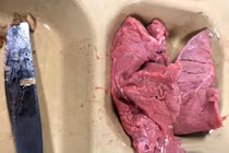 Cựu binh hé lộ bữa ăn “kinh tởm” của lính Mỹ trên tàu chiến