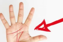 Một người đàn ông sở hữu 4 tướng tay này cả đời giàu sang