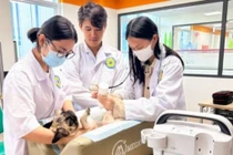 Loạt bí quyết 'hô biến' Gen Z yêu thú cưng trở thành bác sĩ thú y giỏi tay nghề