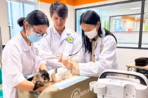 Loạt bí quyết 'hô biến' Gen Z yêu thú cưng trở thành bác sĩ thú y giỏi tay nghề