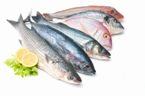 Cách phòng ngừa ngộ độc histamine khi ăn cá biển