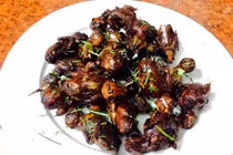 6 món ngon từ chim sẻ giúp bổ thận, tráng dương