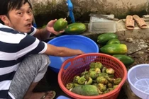 Cuộc sống giản dị của Hoài Linh khi thôi vắt sức chạy show 