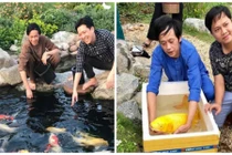 Vì sao Hoài Linh đặt tên cá là Trấn Thành, Trường Giang, Chí Tài?