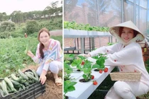 Có nhà dát vàng, “kho” kim cương, Lý Nhã Kỳ vẫn giản dị không ngờ