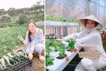 Có nhà dát vàng, “kho” kim cương, Lý Nhã Kỳ vẫn giản dị không ngờ