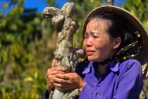 Bắt giữ anh rể phá hoại, chặt hết vườn quả nhà em vợ