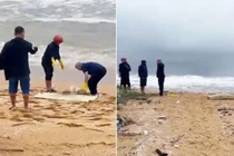  Phát hiện thi thể nữ không nguyên vẹn dạt vào bãi biển Quảng Nam