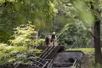 Lợi ích không ngờ của việc lên xuống cầu thang bộ hàng ngày