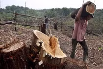 Vì sao Myanmar bỏ tù 153 lâm tặc Trung Quốc?