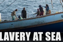 Hành trình AP phanh phui nạn nô lệ đánh cá ở Đông Nam Á