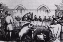 Top khám phá giật mình về lịch sử nhân loại (2)