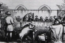 Top khám phá giật mình về lịch sử nhân loại (2)