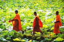 Ai bảo đi tu là khổ?