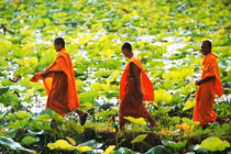 Đến đất Phật có nên cho tiền trẻ em ở đó?