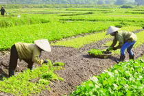 Từ đỉnh nghèo bỗng thành tỷ phú