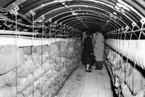 Bên trong đường hầm táo bạo nhất thời Chiến tranh Lạnh 